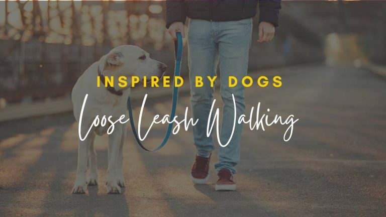 Mini Course | Loose Leash Walking