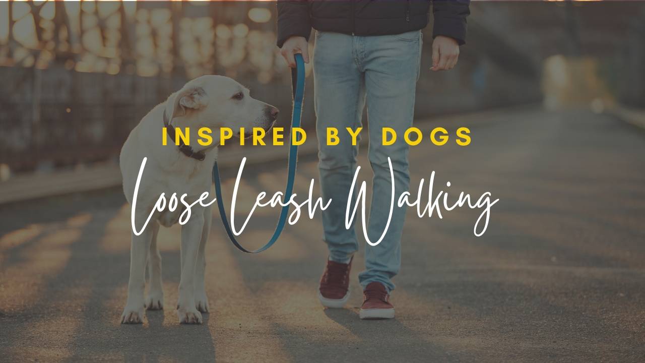 Mini Course | Loose Leash Walking