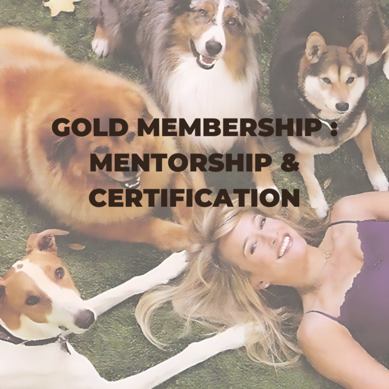 Gold Memebership : Mentorship & certification
