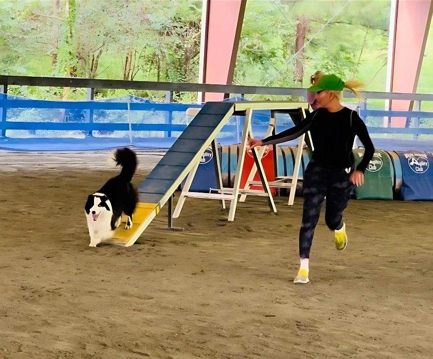 Most Trusted Dog Trainer in Landrum