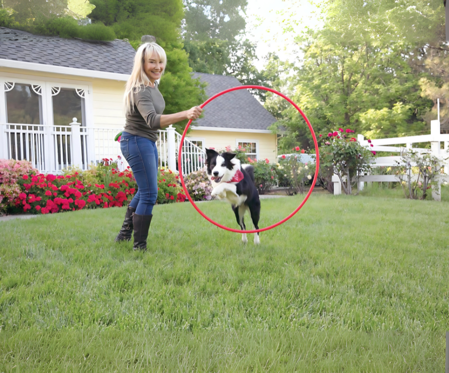 Need behavior modification for dogs near Tryon
