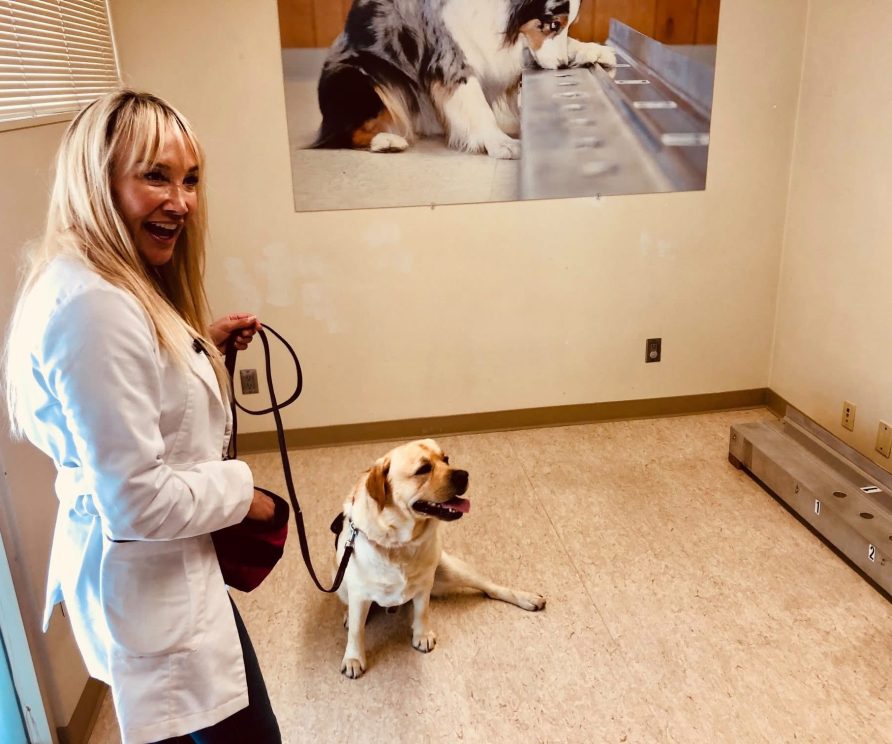 Dina _Enloe Cancer Dog